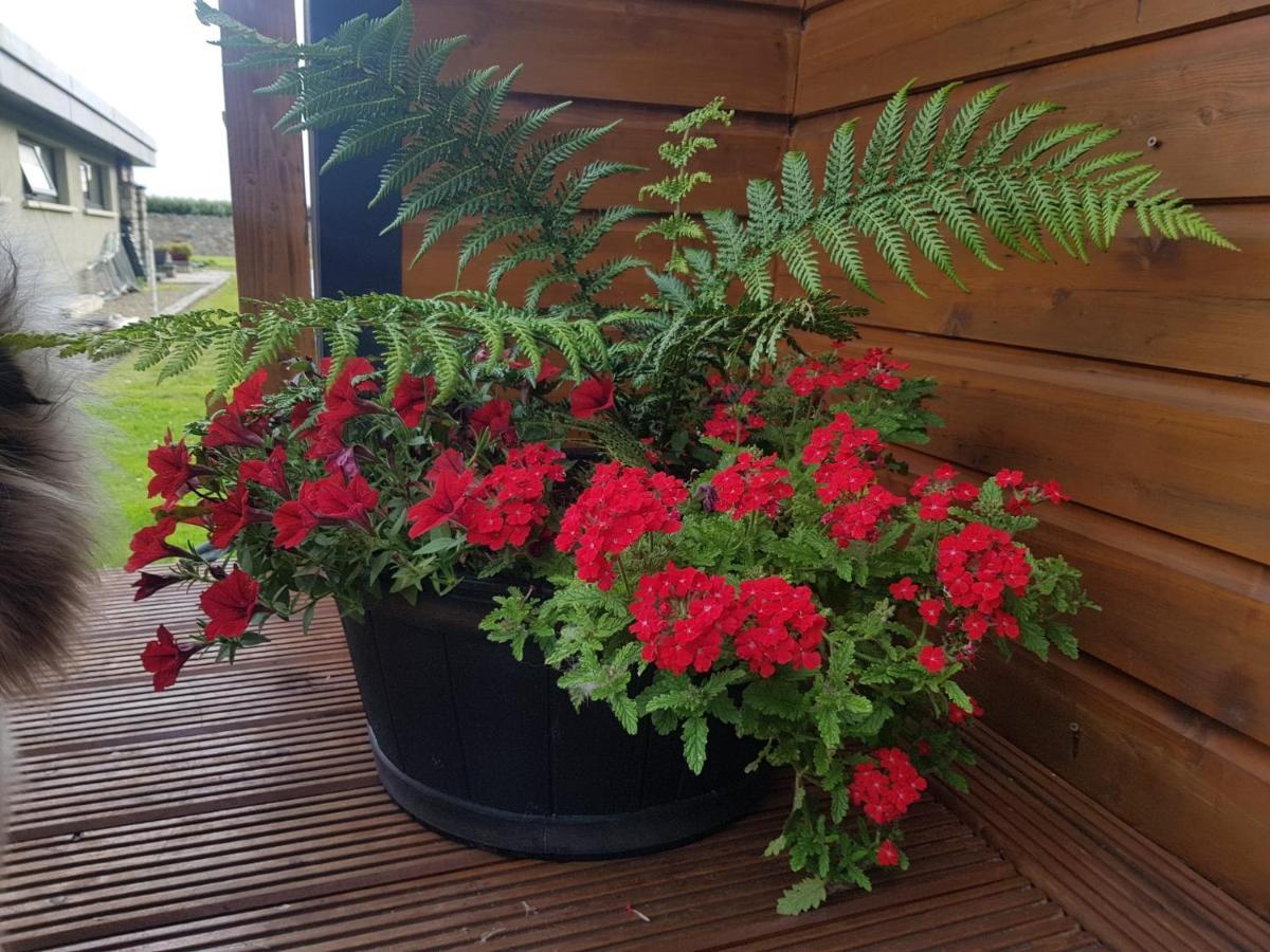 Glamorous Glamping Belmullet Εξωτερικό φωτογραφία